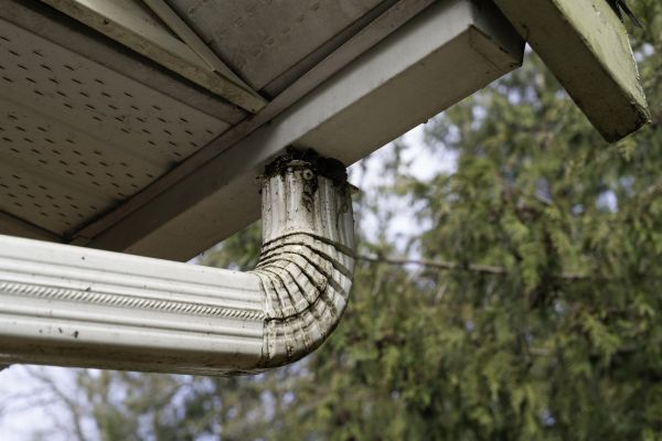 Cost of Roof Drain Replacement in Ponte Vedra Beach